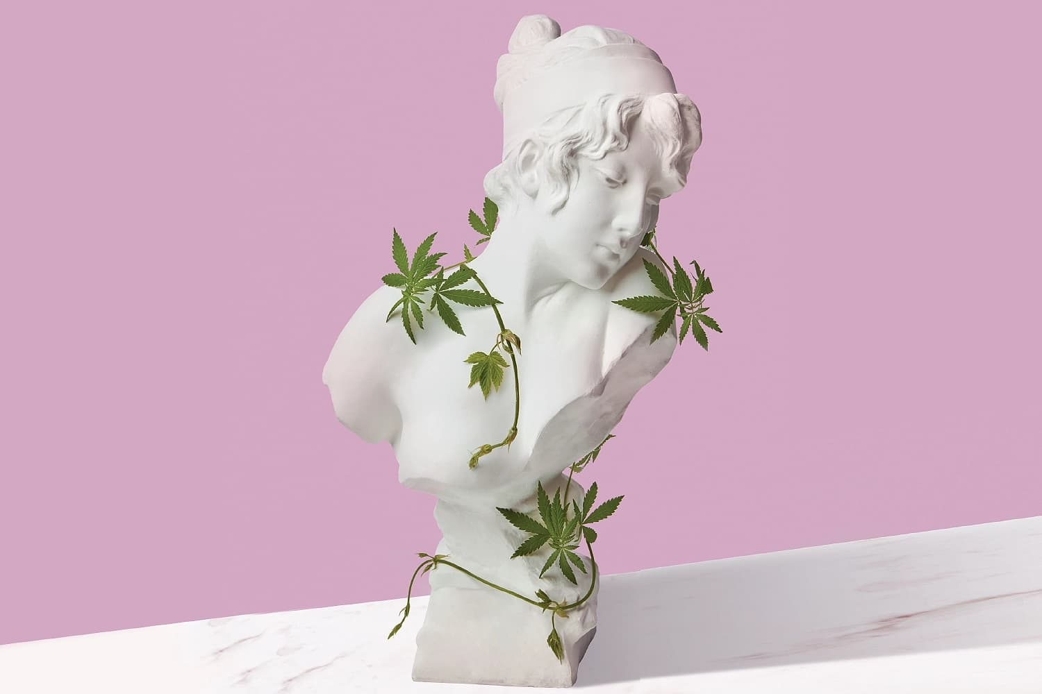 plaster bust with cannabis growing around it